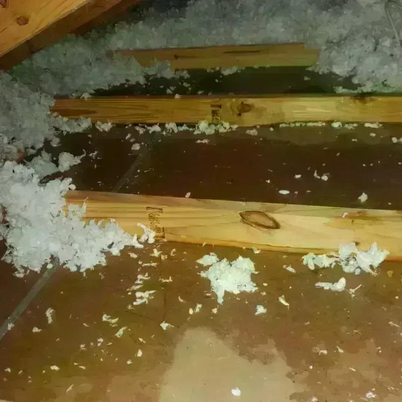 Attic Water Damage in Saint Dennis, KY